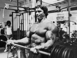 Arnold-schwarzenegger