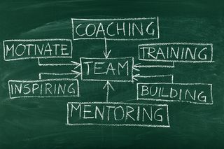 Team-Building-and-Coaching Flow